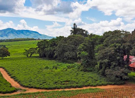 malawi/southern-region/landmark/africa-wild-truck