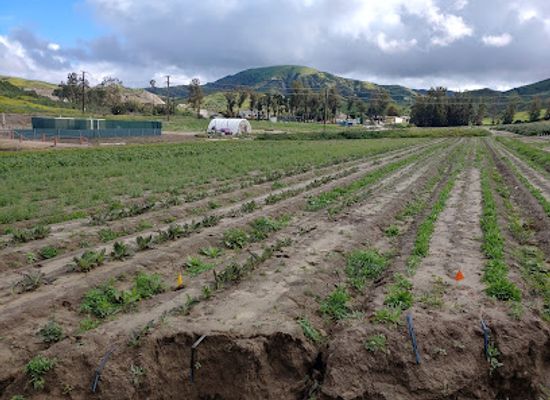 california/irvine/landmark/irvine-ranch-conservancy-native-seed-farm