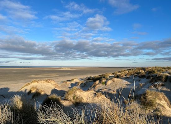 denmark/romo/attraction/lakolk-strand
