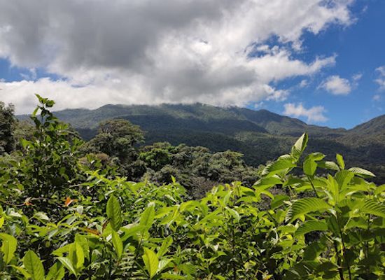 costa-rica/tilaran-range/landmark/catarata-rio-celeste