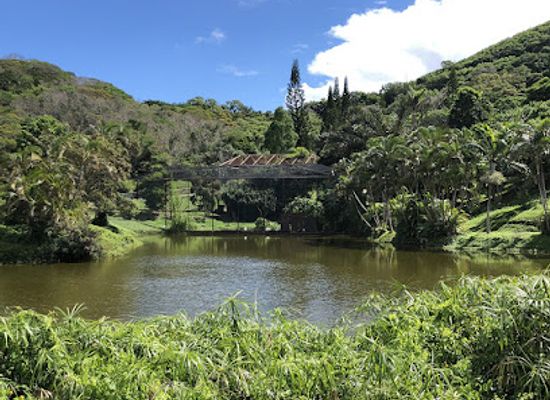 new-caledonia/touho/landmark/parc-zoologique-et-forestier-michel-corbasson