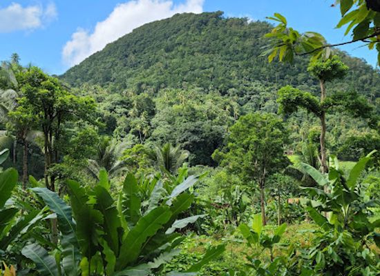saint-lucia/soufriere/landmark/project-chocolat