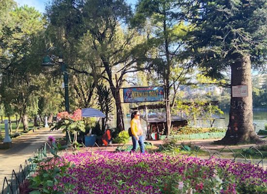 philippines/baguio/burnham-park/landmark/burnham-park-historic-elephant