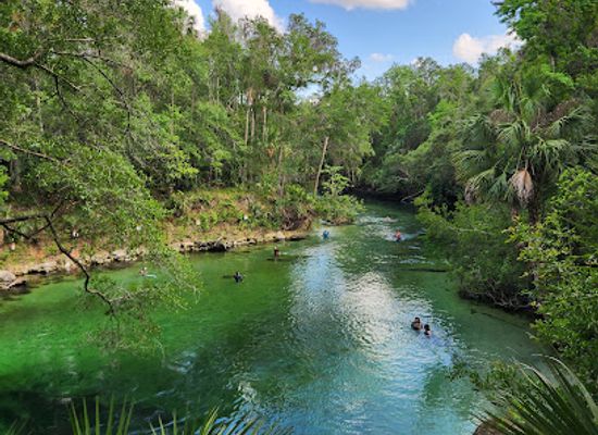 florida/juniper-springs-recreation-area/landmark/blue-spring-state-park