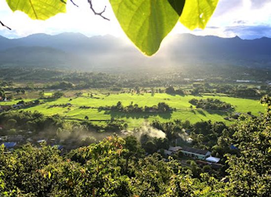 thailand/pai/landmark/kirina-wellness-in-the-valley