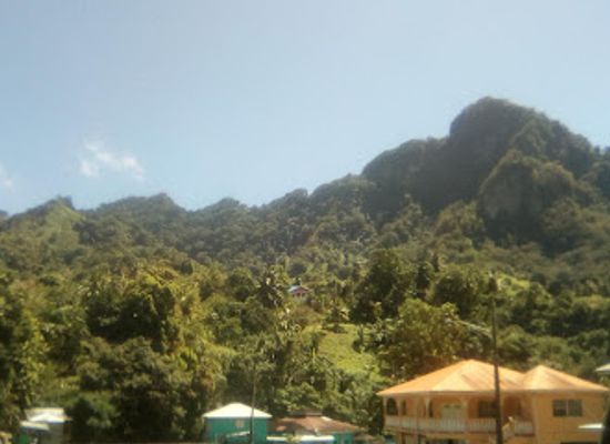 saint-vincent-and-the-grenadines/georgetown/landmark/vermont-nature-trail-and-rain-forest