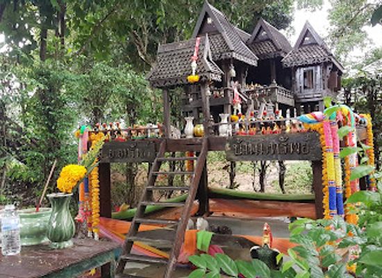 thailand/phuket/patong/landmark/tiger-kingdom-phuket