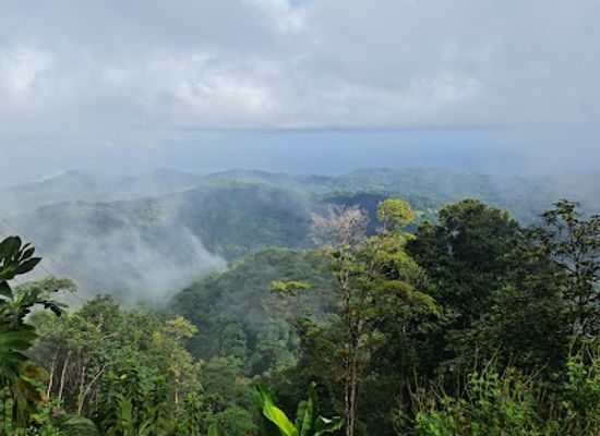 trinidad-and-tobago/caroni/landmark/northern-mountain-range