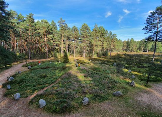 poland/bory-tucholskie/landmark/rezerwat-przyrody-kregi-kamienne-w-odrach