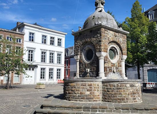 belgium/liege/outremeuse/landmark/st-paul-s-cathedral-in-liege