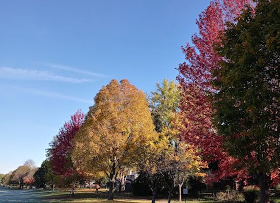 illinois/bolingbrook/landmark/playground