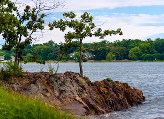 new-york/leatherstocking-region/landmark/marshlands-conservancy