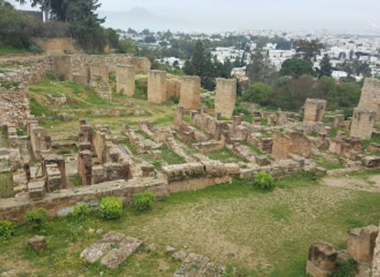 tunisia/the-tell/landmark/land-of-the-roman-house-unesco-whs