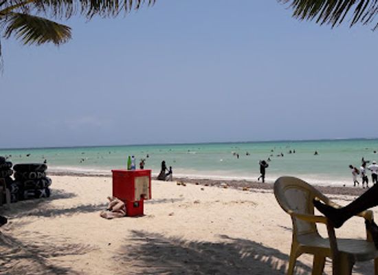 kenya/mombasa-beach/landmark/haller-park