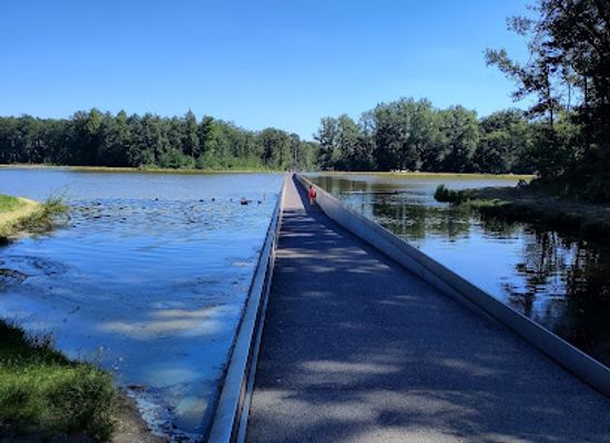 belgium/campine-kempen/landmark/cycling-through-water-bokrijk