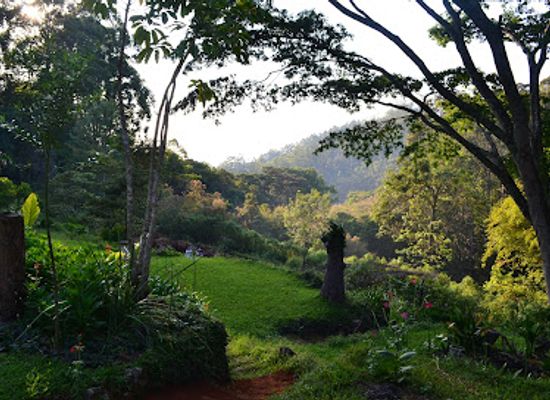zimbabwe/bvumba-botanical-gardens/landmark/bvumba-mountains