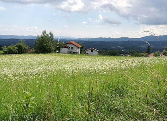 slovenia/sava/landmark/bolska
