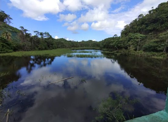 philippines/siargao/landmark/paghungawan-marsh