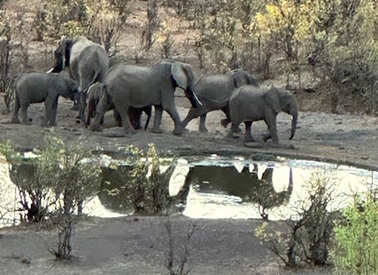 zambia/victoria-falls-area/landmark/victoria-falls-lodges