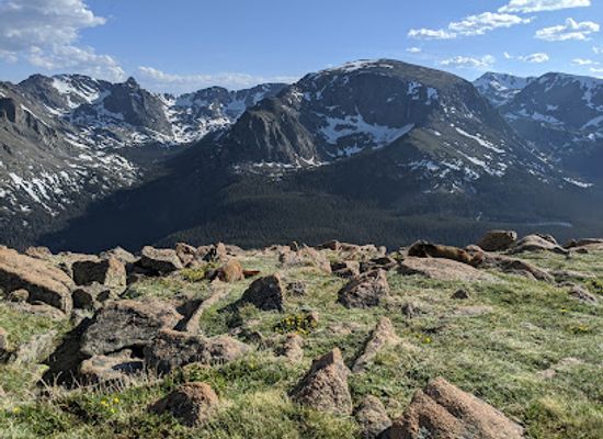 colorado/estes-park/landmark/forest-canyon-overlook