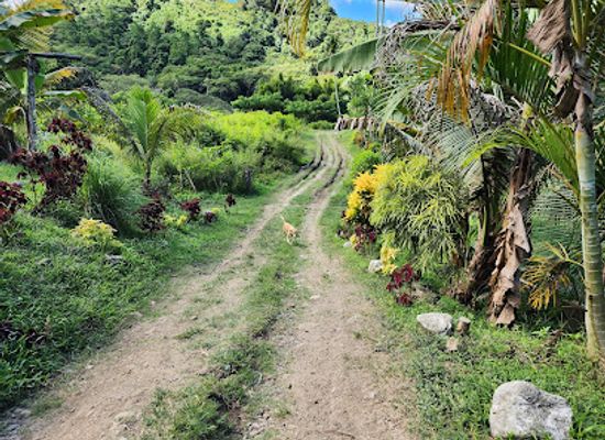 fiji/taveuni/landmark/naihehe-cave