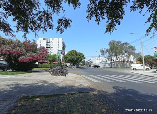 peru/north-coast/landmark/mattoni