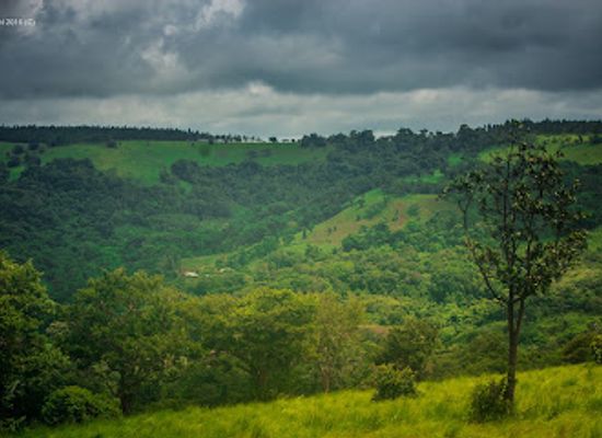 cambodia/mondulkiri-province/landmark/mondulkiri-elephant-wildlife-sanctuary-l-e-a-f-cambodia