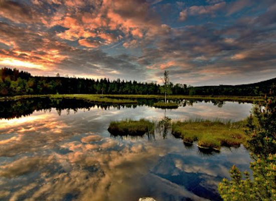 czechia/sumava/landmark/chalupska-slat