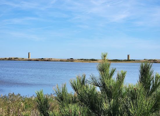 delaware/cape-henlopen-state-park/landmark/gordons-pond-state-park-area