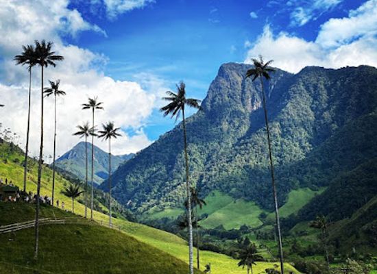 colombia/risaralda-department/landmark/cocoratours-valle-del-cocora