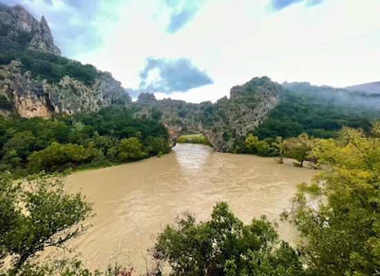 france/ardèche-gorges/landmark/grotte-aven-forestiere-grotte-en-ardeche