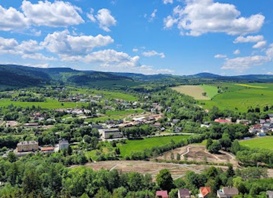 poland/stolowe-mountains/landmark/castle-rock-forest