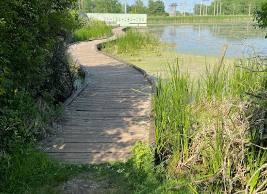 canada/peace-river-country/landmark/tifft-nature-preserve