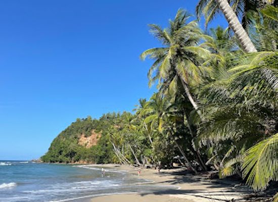 dominica/saint-andrew/landmark/batibou-beach