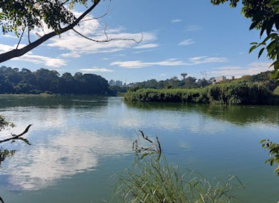 madagascar/analanjirofo/landmark/ladybird-lake