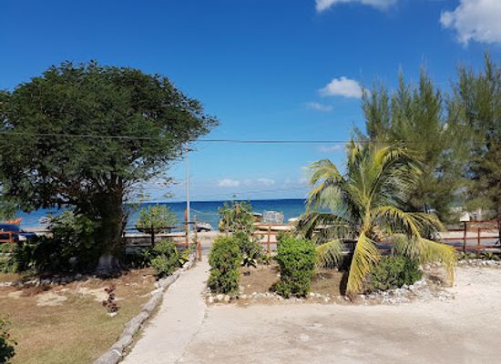 jamaica/negril/landmark/mi-yard