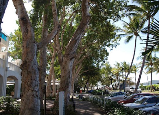 australia/cairns/palm-cove/landmark/palm-beach
