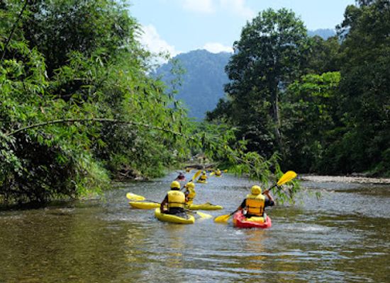 indonesia/bukit-lawang/landmark/sumatra-jungle-tours