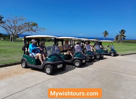 fiji/western-division/landmark/my-wish-transfers-tours-nadi-fiji-islands