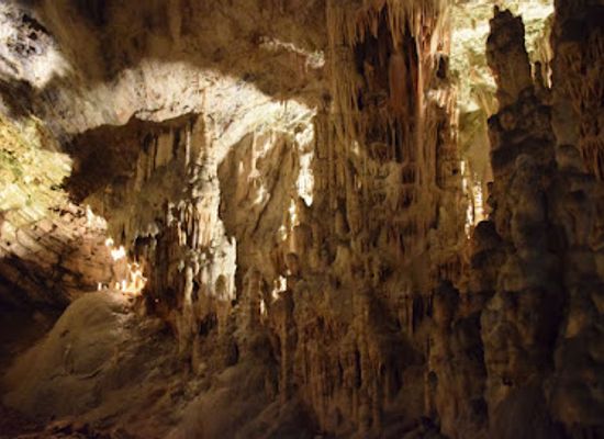 slovenia/skocjan-caves/landmark/naravni-rezervat-skocjanski-zatok