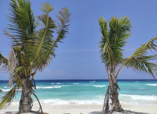 maldives/ukulhas/landmark/beach-sea-star