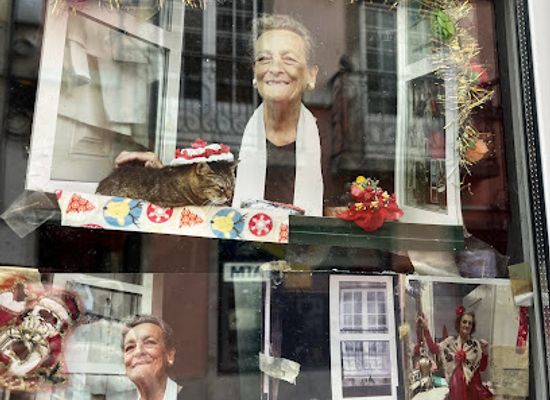 portugal/lisbon/bairro-alto/landmark/cat-in-sombrero