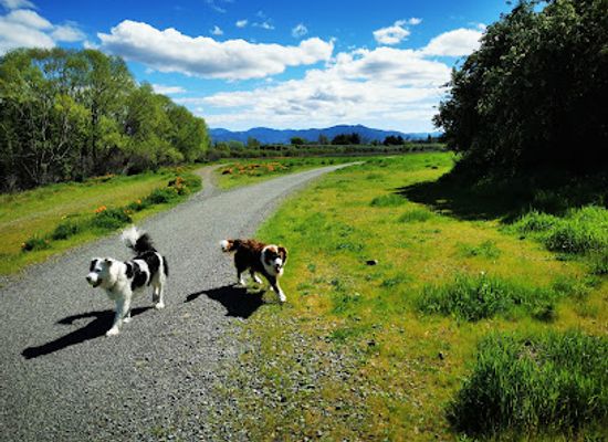 new-zealand/blenheim/landmark/brayshaw-heritage-park