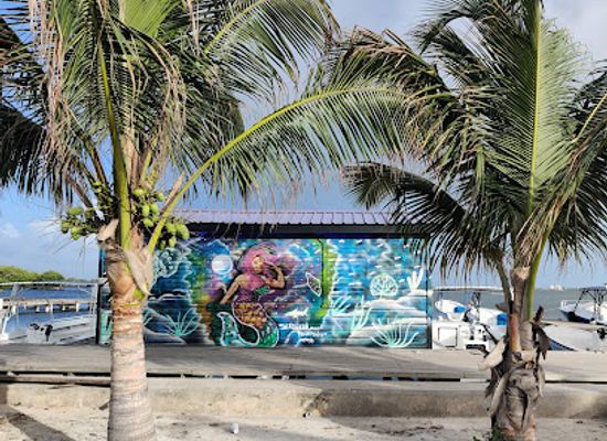 belize/northern-belize/landmark/seaduced-by-belize