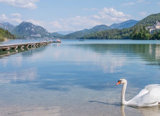 austria/fuschlsee/landmark/hofer-naturbadestrand