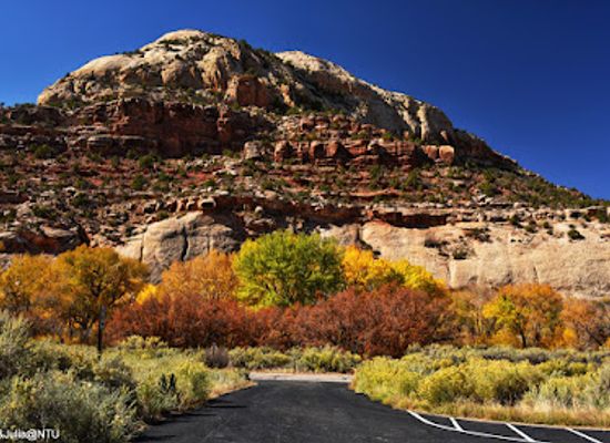 new-mexico/san-juan-basin/landmark/newspaper-rock-state-historical-monument