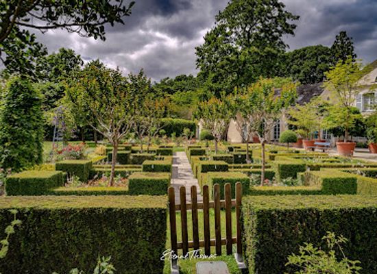 france/angers/landmark/arboretum-gaston-allard