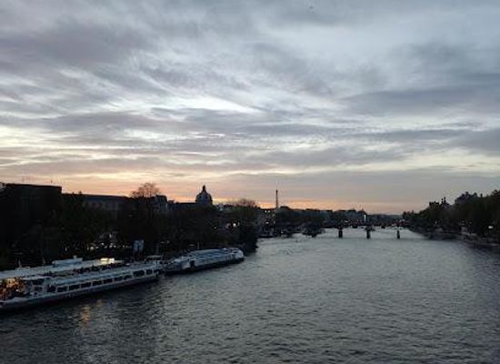 france/ile-de-france/landmark/pont-du-carrousel