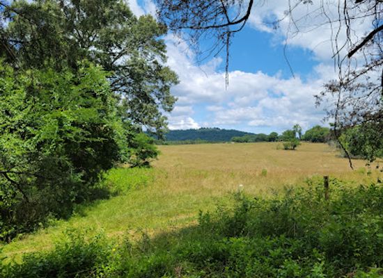 virginia/blue-ridge-highlands/landmark/james-monroe-s-highland