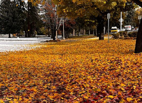 oregon/bend/landmark/drake-park-neighborhood-historic-district
